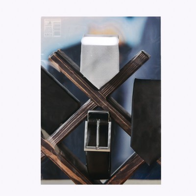 Пакет подарочный «Мужской стиль», полиэтиленовый с вырубной ручкой 29×40 см, 35 мкм