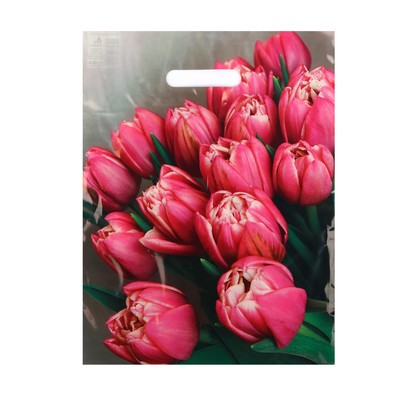 Пакет «Стелла», полиэтиленовый с вырубной ручкой 31×40 см, 60 мкм