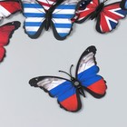 Магнит пластик "Бабочки. Флаг" набор 12 шт МИКС 10 см - фото 6972594