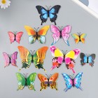 Магнит пластик "Бабочки лета" набор 12 шт МИКС h=4,4,5,5,6,8,9,5,13,5,14,5 см - фото 9057990