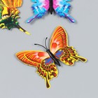 Магнит пластик "Бабочки лета" набор 12 шт МИКС h=4,4,5,5,6,8,9,5,13,5,14,5 см - фото 9057991