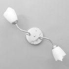 Люстра «1341001/2WT» BayerLux, E27 15 Вт, хром - фото 22339329