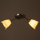 Люстра «Оникс» BayerLux, 2×15 Вт E27, хром, 50×15×15 см - Фото 3