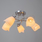 Люстра "Николь" 5х15Вт Е27 хром BayerLux - фото 22339383