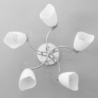 Люстра "Николь" 5х15Вт Е27 хром BayerLux - фото 22339385