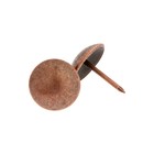 Гвозди ТУНДРА, декоративные, обивочные, 19×22 мм, медь, фасовка 50 шт. - Фото 2