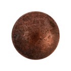 Гвозди ТУНДРА, декоративные, обивочные, 19×22 мм, медь, фасовка 50 шт. - Фото 4