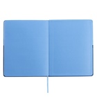 Дневник универсальный 1-11 класс, 48 листов "Синий", твёрдая обложка из искусственной кожи, блинтовое тиснение, ляссе - фото 23790867