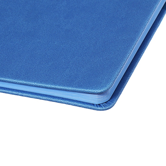 Дневник универсальный 1-11 класс, 48 листов "Синий", твёрдая обложка из искусственной кожи, блинтовое тиснение, ляссе