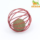 Шарик для кошек «Мята в шаре», прессованная мята - Фото 1