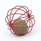 Шарик для кошек «Мята в шаре», прессованная мята - Фото 2