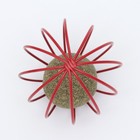 Шарик для кошек «Мята в шаре», прессованная мята - Фото 3