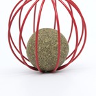 Шарик для кошек «Мята в шаре», прессованная мята - Фото 5