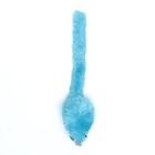 Игрушка для кошек "Мышь малая" цветная, 5 см, синяя - фото 6972957