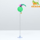 Дразнилка "Рифлёный шар с перьями на присоске", шар 3,8 см, зелёный - Фото 1