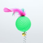 Дразнилка "Рифлёный шар с перьями на присоске", шар 3,8 см, зелёный - фото 6972973