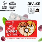 Драже освежающее «Мурчит для тебя», со вкусом мяты и вишни, 18 г. - Фото 1