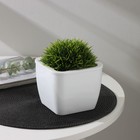 Кашпо для цветов со вставкой «Глянец», 1.2 л (0.8 л), белое - Фото 1
