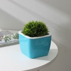 Кашпо со вставкой «Глянец», 1,2 л (0,8 л), бирюзовое - Фото 1