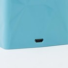 Лава-лампа «Дельфин» LED от батареек, аквариум 3хАА USB синий 7.5×7.5×23 см RISALUX - Фото 6