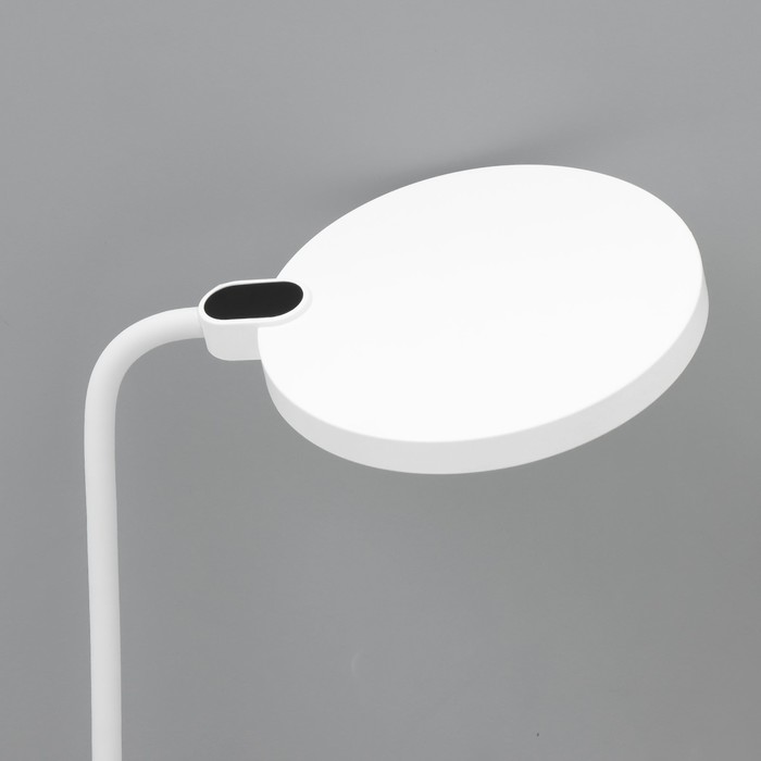 Настольная лампа "Мишка с мячом" LED  черно-белый 14х15х48 см RISALUX - фото 1907753687