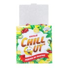 Леденец на палочке "CHILLOUT" с охлаждающим эффектом с кислым вкусом лимона, клюквы, 10 г (комплект 100 шт) - фото 25374424