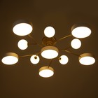 Люстра «Алмони» 6х LED 214 Вт 3000-6000К 5хG4 бело-золотой 100×100×17 см BayerLux - Фото 5
