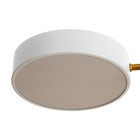 Люстра «Алмони» 6х LED 214 Вт 3000-6000К 5хG4 бело-золотой 100×100×17 см BayerLux - Фото 8