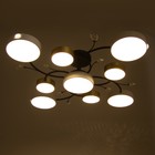 Люстра «Ассами» 9х LED 216 Вт 3000-6000К бело-золотой 93×93×21 см BayerLux - фото 42641233