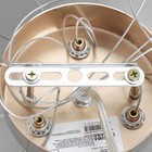 Люстра "Джавани" 6хЕ14 40Вт золото 55х55х23 см BayerLux - фото 31238036