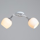 Люстра потолочная BayerLux «Ава», 2хЕ27, 40 Вт, бело-хромовый, 45×26×27 см 9408258