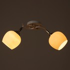 Люстра потолочная BayerLux «Ава», 2хЕ27, 40 Вт, бело-хромовый, 45×26×27 см 9408258