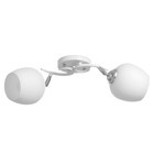 Люстра потолочная BayerLux «Ава», 2хЕ27, 40 Вт, бело-хромовый, 45×26×27 см 9408258