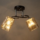 Люстра "Арнелла" 2хЕ27 40Вт чёрный 45х26х27 см BayerLux - фото 22342621