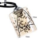 Люстра "Арнелла" 2хЕ27 40Вт чёрный 45х26х27 см BayerLux - фото 22342624