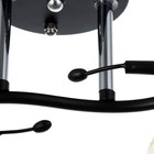 Люстра "Арнелла" 2хЕ27 40Вт чёрный 45х26х27 см BayerLux - фото 22342625