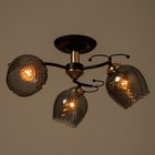 Люстра "Аста" 3хЕ27 40Вт чёрно-золотой 50х50х27 см BayerLux 9408282