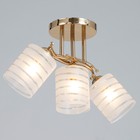 Люстра "Киссия" 3хЕ27 40Вт золото шампань 56х20х30 см BayerLux - фото 24457108