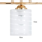 Люстра "Киссия" 3хЕ27 40Вт золото шампань 56х20х30 см BayerLux - фото 24457111