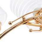 Люстра "Киссия" 3хЕ27 40Вт золото шампань 56х20х30 см BayerLux - фото 24457112