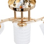 Люстра "Киссия" 3хЕ27 40Вт золото шампань 56х20х30 см BayerLux - фото 24457113