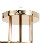 Люстра "Киссия" 3хЕ27 40Вт золото шампань 56х20х30 см BayerLux - фото 24457114