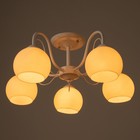 Люстра "Лиана" 5хЕ27 40Вт белый 55х55х36 см BayerLux 9408332