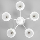 Люстра "Лиана" 5хЕ27 40Вт белый 55х55х36 см BayerLux 9408332