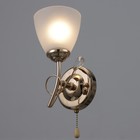 Бра "Лилея" 1хЕ27 40т золото шампань 22х11х20 см - фото 22342793