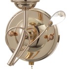 Бра "Лилея" 1хЕ27 40т золото шампань 22х11х20 см - фото 22342798