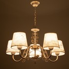 Люстра "Луиза" 5x40Вт E14 белый+золото 60x60x31 см. Модель F761TT-503 - фото 42269639