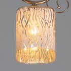 Светильник 6591210/1 E27 40Вт золото 17х15х32 см BayerLux Модель F761TT-516 - фото 22343136