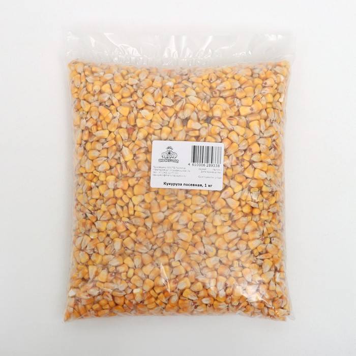 Семена Кукуруза посевная, 1 кг - Фото 1