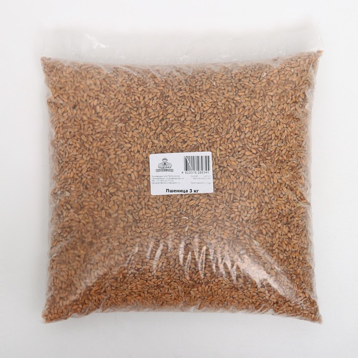Семена Пшеница, 3 кг - Фото 1
